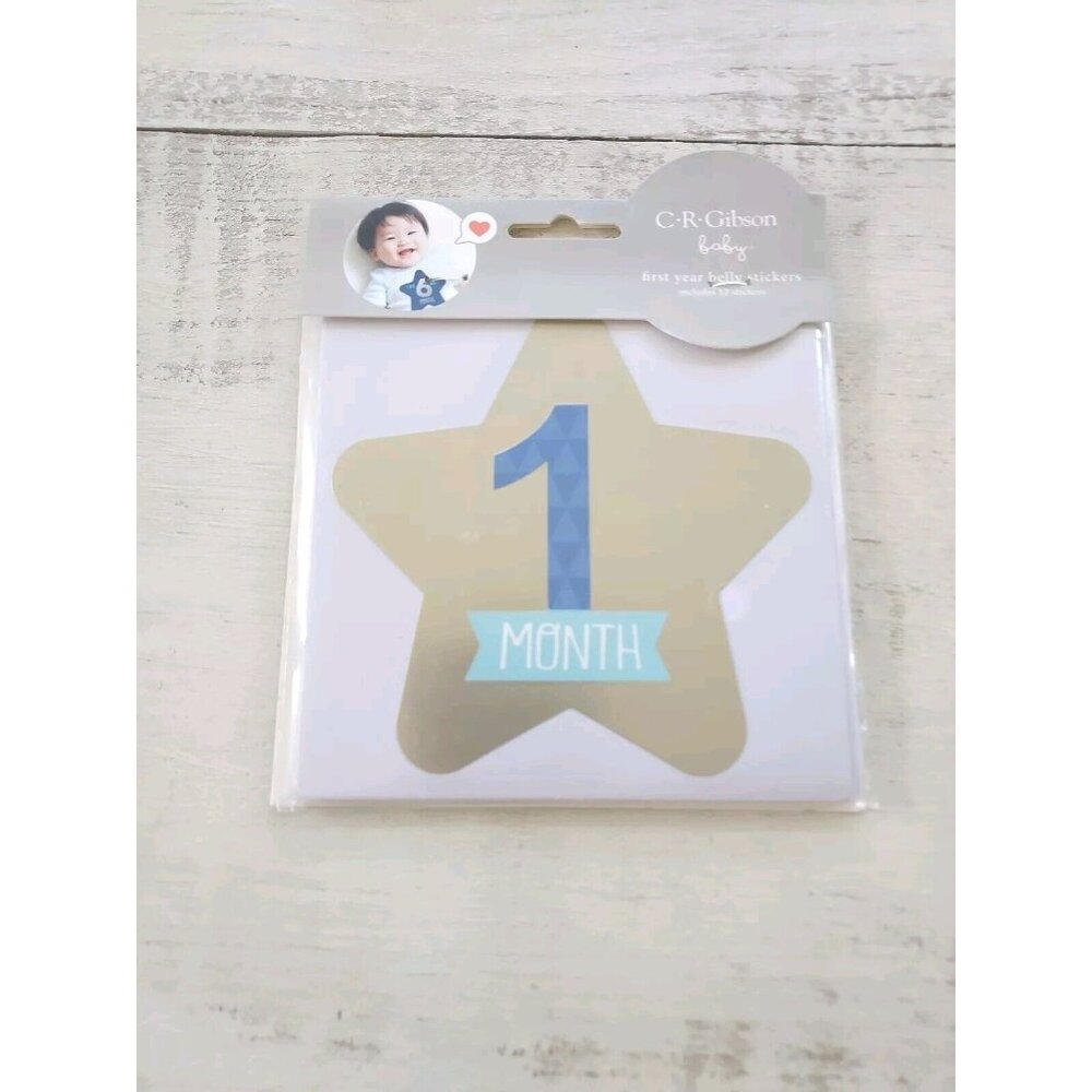 NEW C.R. Gibson Baby First Year Belly Stickers